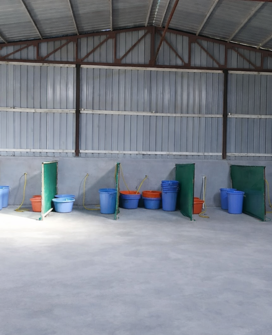 Seed Washing area