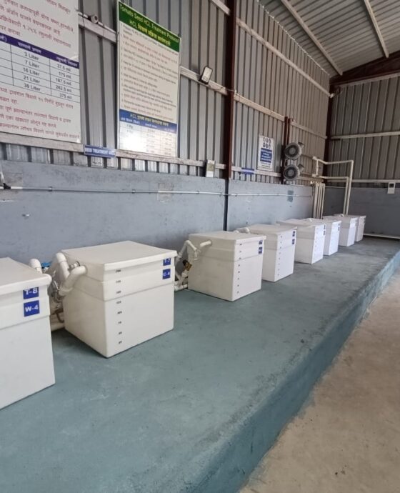 Automized Seed Treatment Area