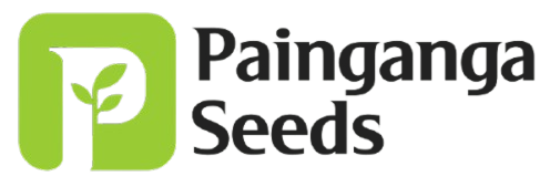 Painganga Seeds